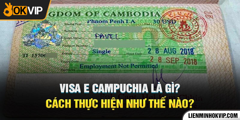 Visa E Campuchia Là Gì? Cách thực hiện như thế nào?